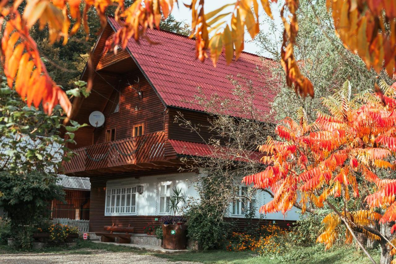 Pensiunea Poiana De Vis Сучевица Экстерьер фото