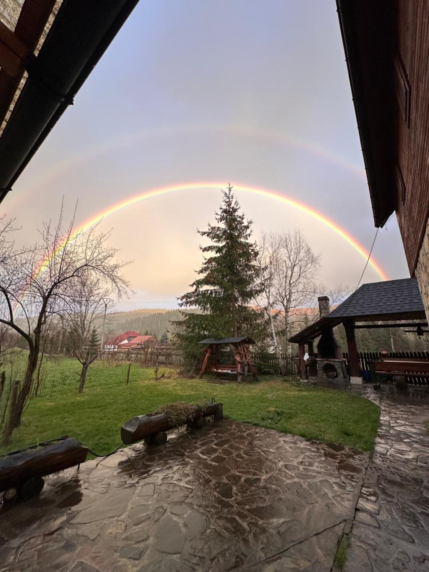 Pensiunea Poiana De Vis Сучевица Экстерьер фото
